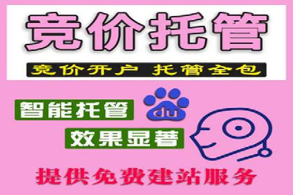 成功SEM托管案例：流量与转化双赢